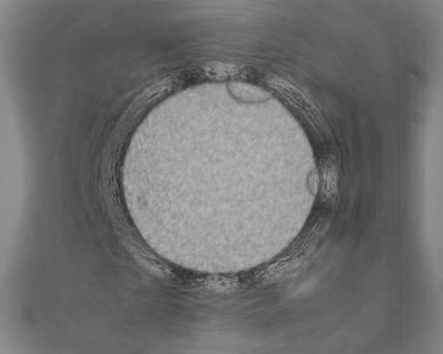X0000111190865200908121045