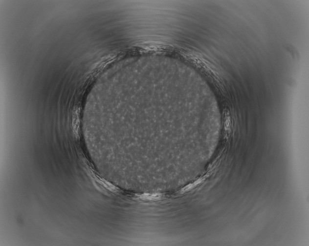 X0000111190868200908121045
