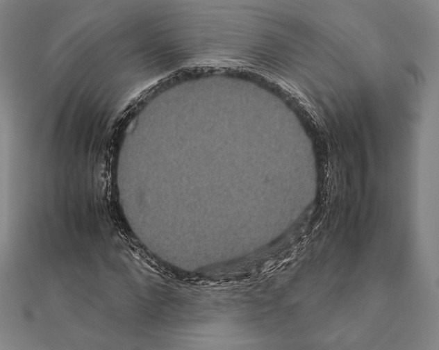 X0000111190872200908121045