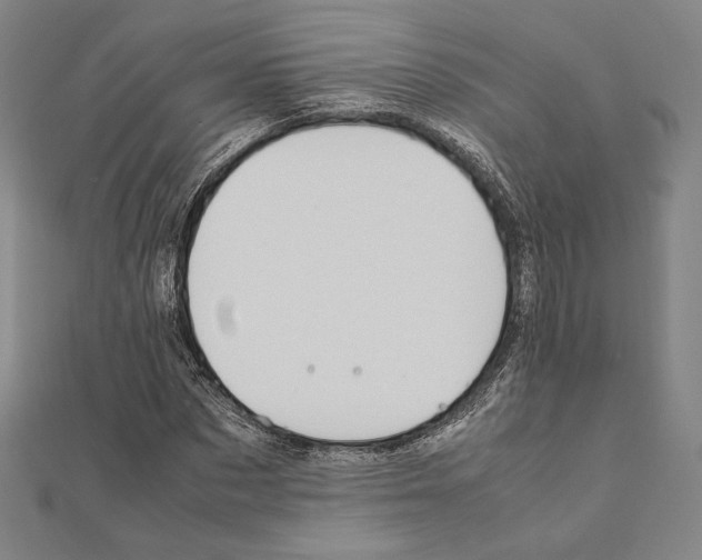 X0000111190873200908121045