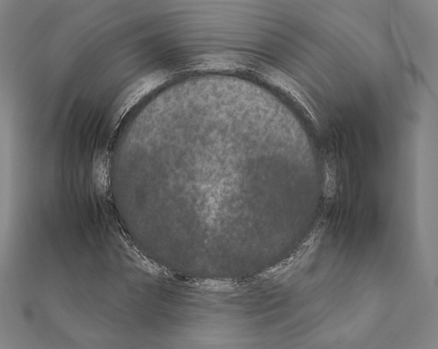 X0000111190874200908121045