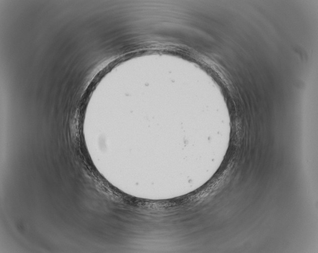 X0000111190875200908121045