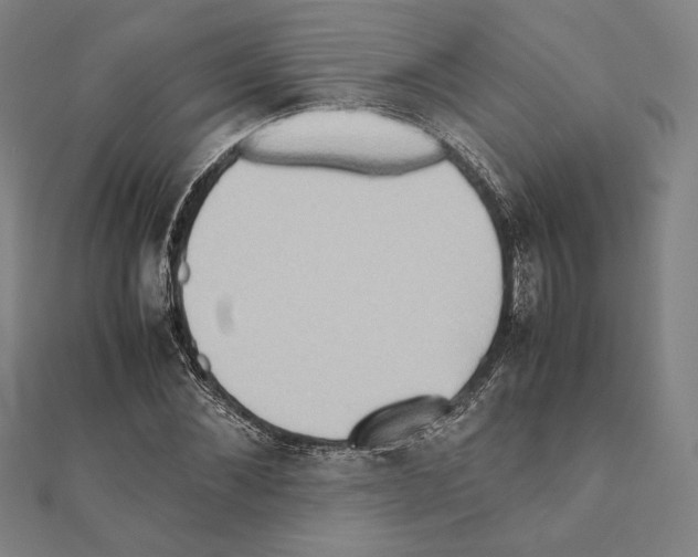 X0000111190876200908121045