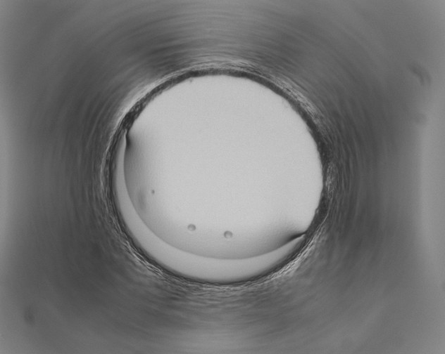X0000111190877200908121045