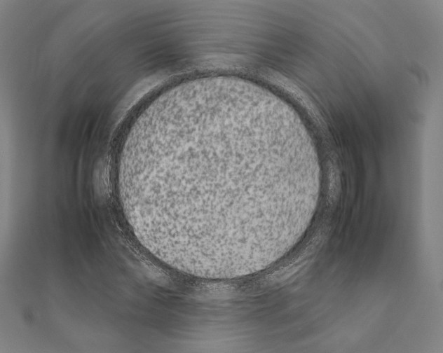 X0000111190878200908121045