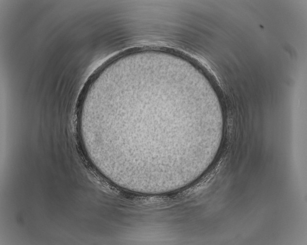 X0000111190879200908121045