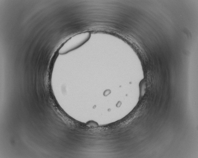X0000111190880200908121045