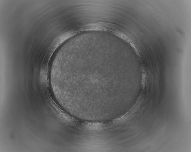 X0000111190882200908121045