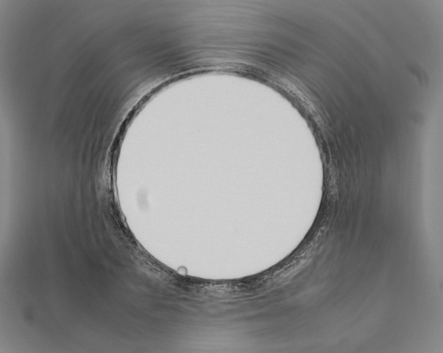 X0000111190883200908121045
