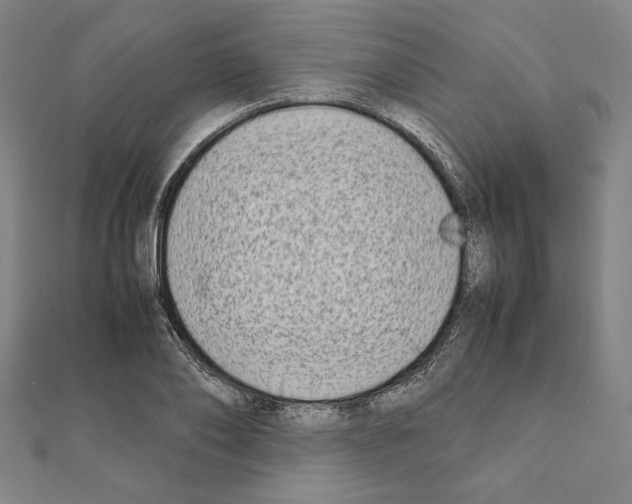 X0000111190886200908121045