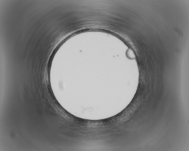 X0000111190887200908121045