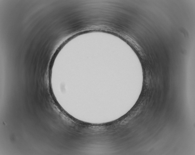 X0000111190888200908121045