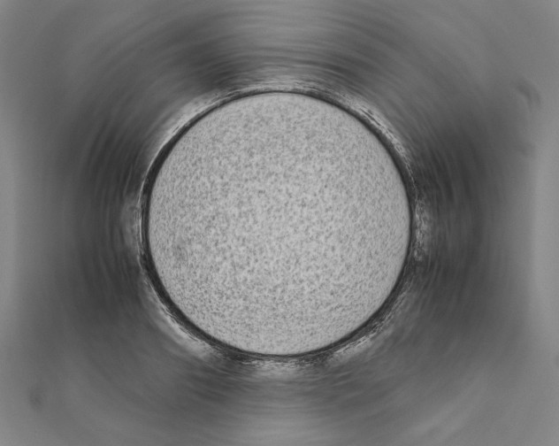 X0000111190890200908121045