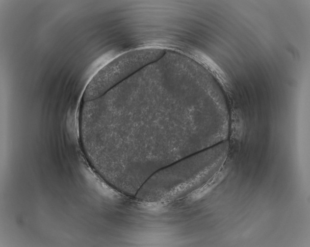 X0000111190892200908121045