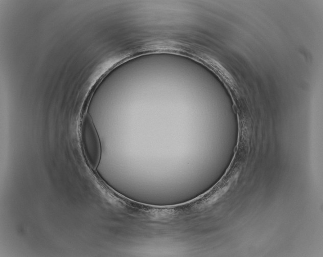 X0000111190893200908121045
