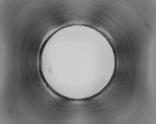 X0000111190894200908121045