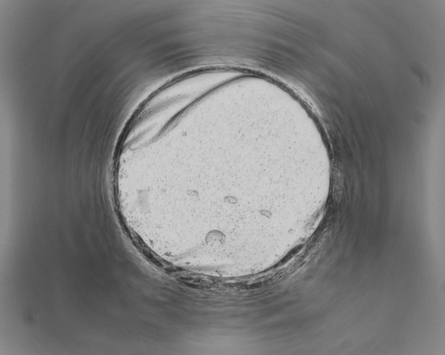 X0000111190895200908121045