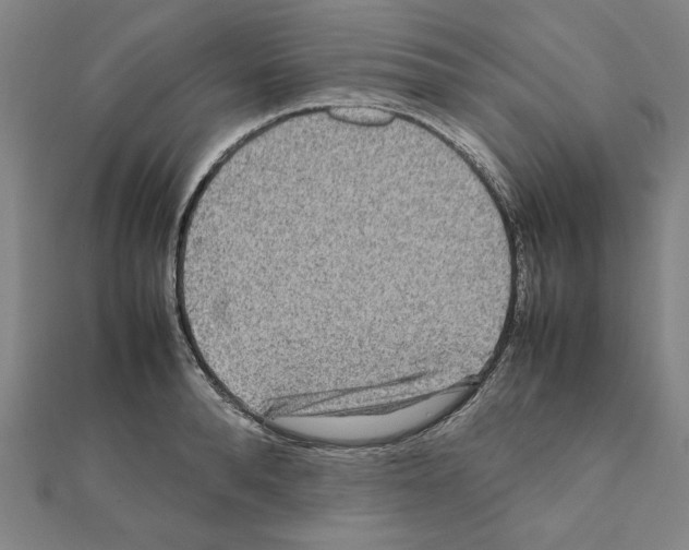 X0000111190896200908121045