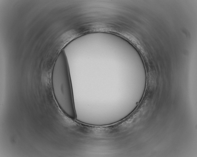 X0000111190897200908121045