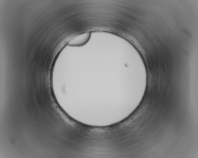 X0000111190898200908121045