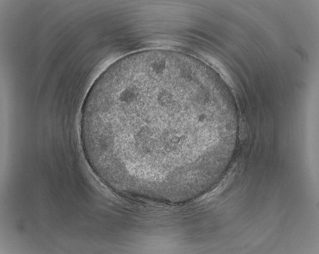 X0000111190899200908121044