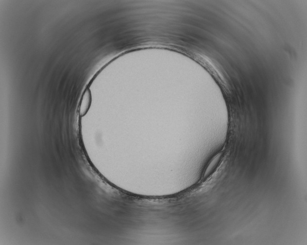 X0000111190900200908121044