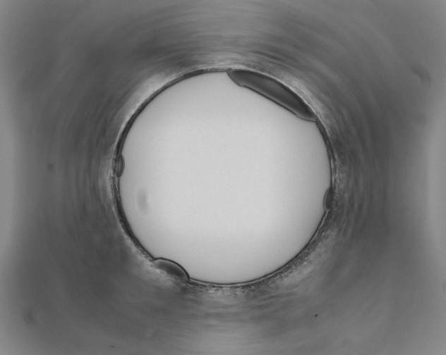 X0000111190901200908121044