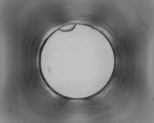 X0000111190902200908121044