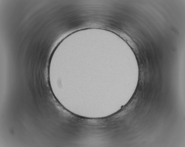 X0000111190904200908121044
