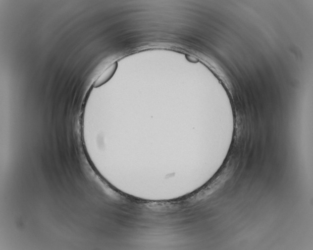 X0000111190906200908121044