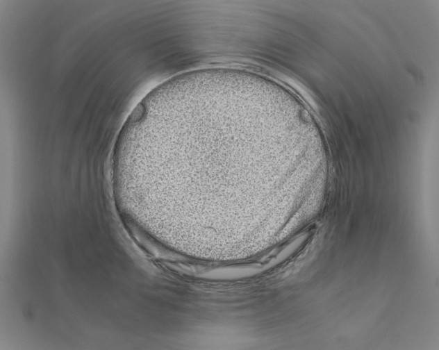 X0000111190907200908121044
