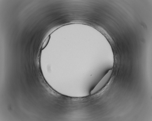 X0000111190908200908121044