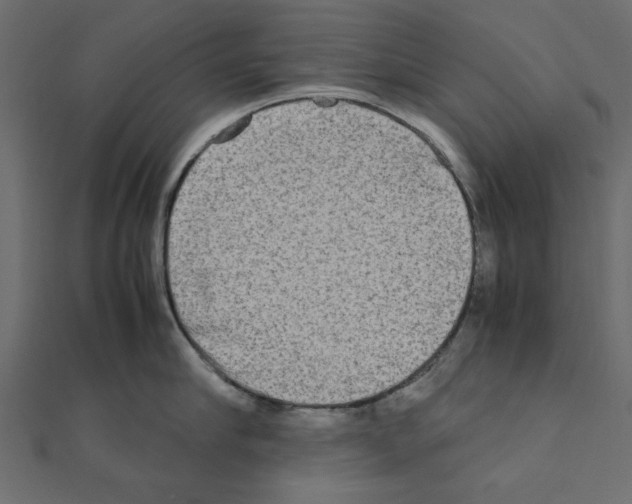 X0000111190910200908121044