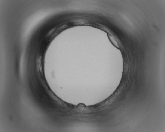 X0000111190911200908121044
