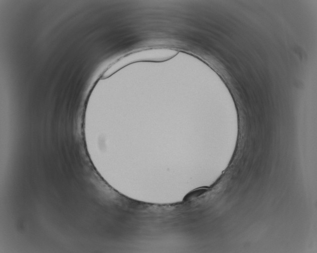 X0000111190912200908121044