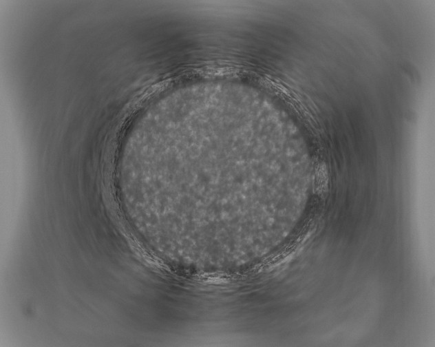 X0000111190913200908121044