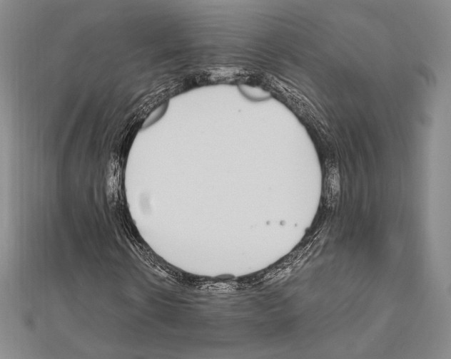 X0000111190914200908121044