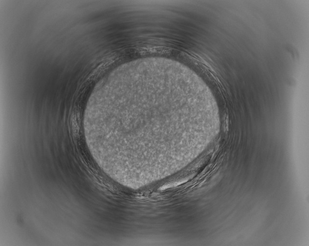 X0000111190915200908121044