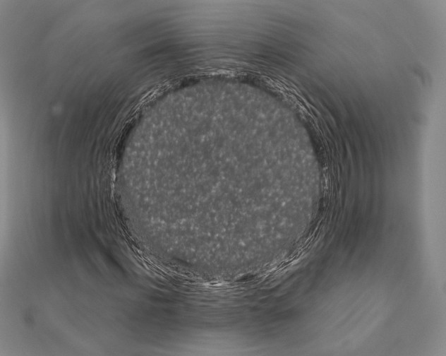 X0000111190916200908121044
