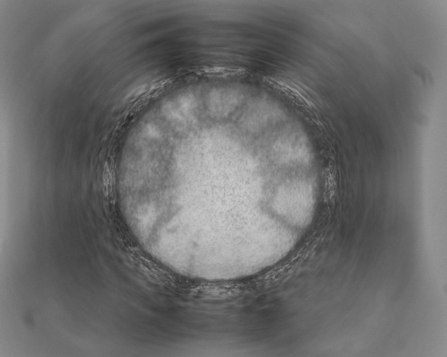 X0000111190917200908121044