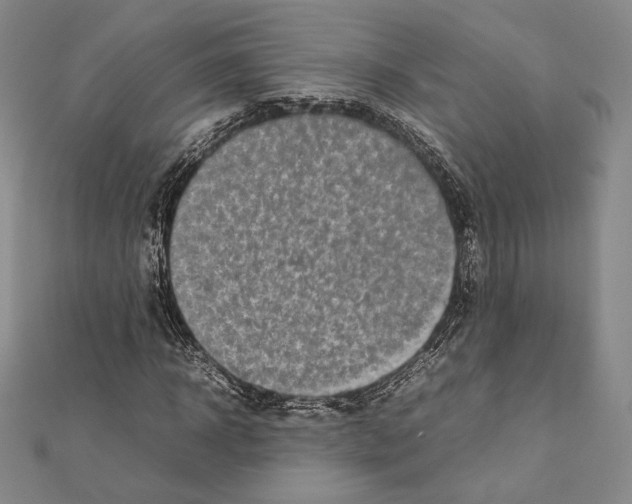 X0000111190918200908121044