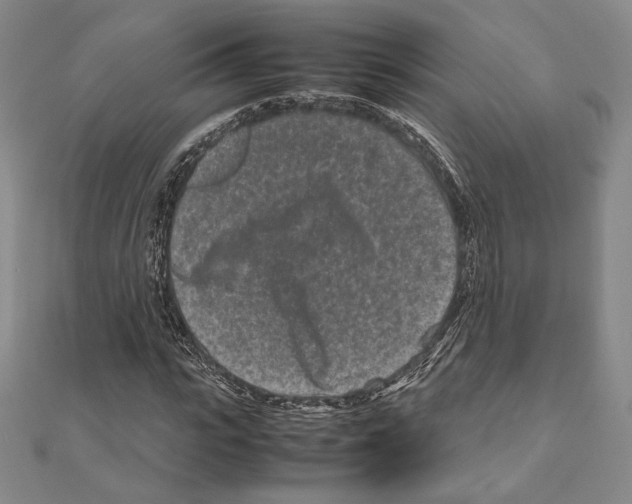 X0000111190919200908121044