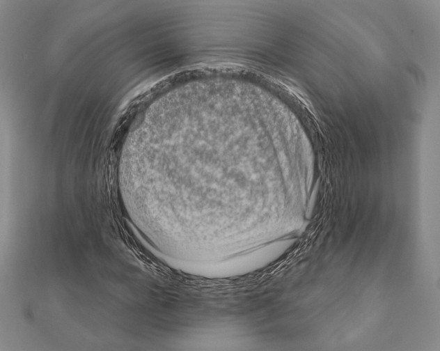 X0000111190920200908121044