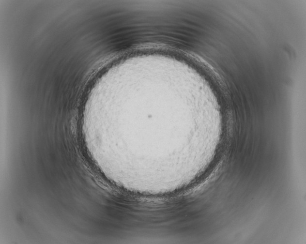 X0000111190921200908121044