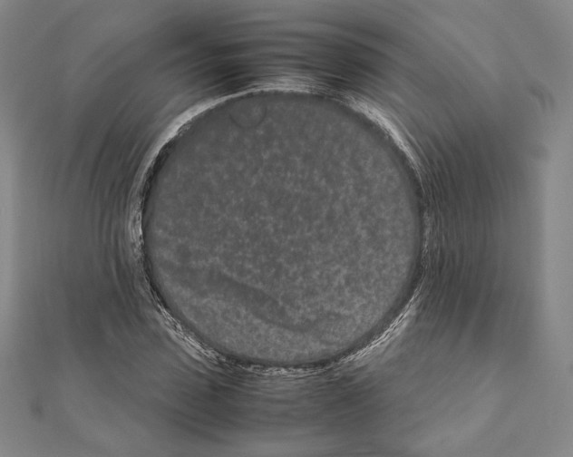 X0000111190923200908121044