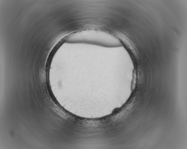 X0000111190924200908121044