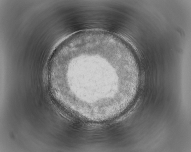 X0000111190925200908121044