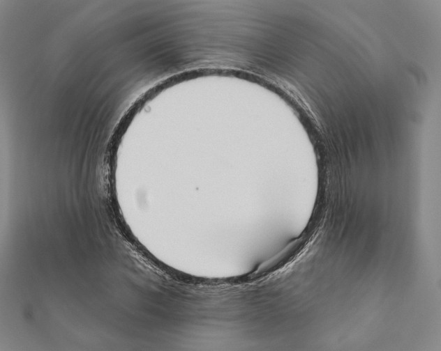 X0000111190926200908121044
