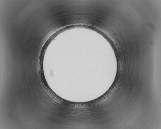 X0000111190927200908121044