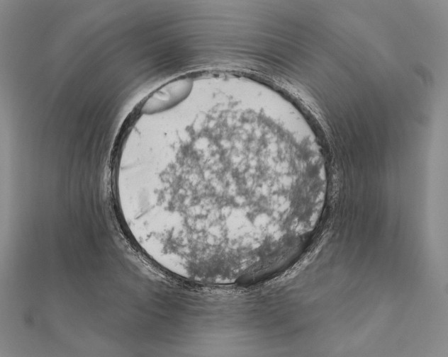 X0000111190928200908121044